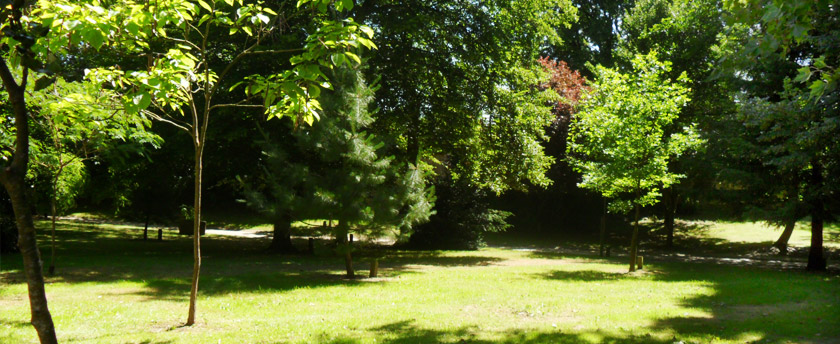 L'arboretum du château de Javarzay